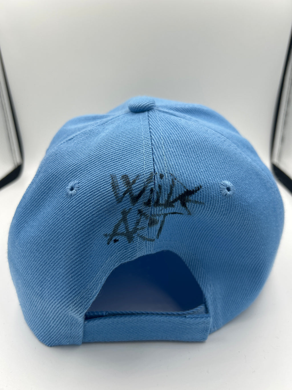 #49 PASSEGGIANDO SULLE VETTE